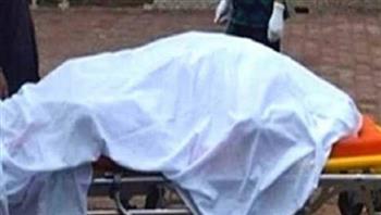 ضبط قاتلي شاب منطقة الصداقة الجديدة في أسوان