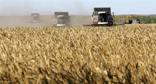 الحكومة الروسية تدخل إجراءات إضافية لدعم قطاع الزراعة ابتداء من العام المقبل