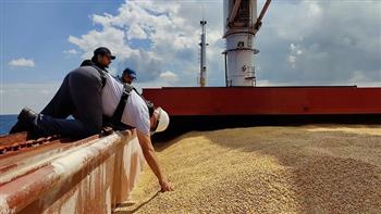   60 سفينة تحمل حاصلات زراعية تغادر أوكرانيا