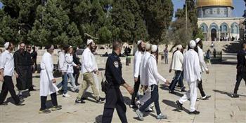 الاحتلال الإسرائيلي يعتقل 13 فلسطينيًا.. ومُستوطنون يقتحمون باحات الأقصى