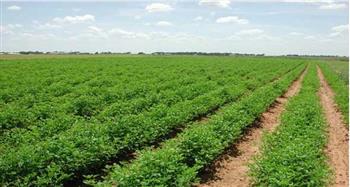   «الزراعة»: نفذنا مشروعات متعددة لزيادة الرقعة الزراعية المصرية