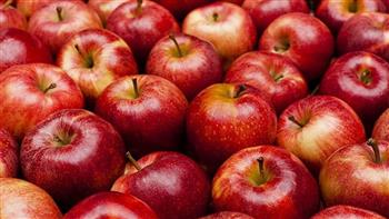   208 ملايين دولار فاتورة استيراد مصر من التفاح الطازج خلال 6 أشهر