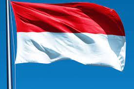 إندونيسيا تنفى إرسال وفد سرى إلى إسرائيل