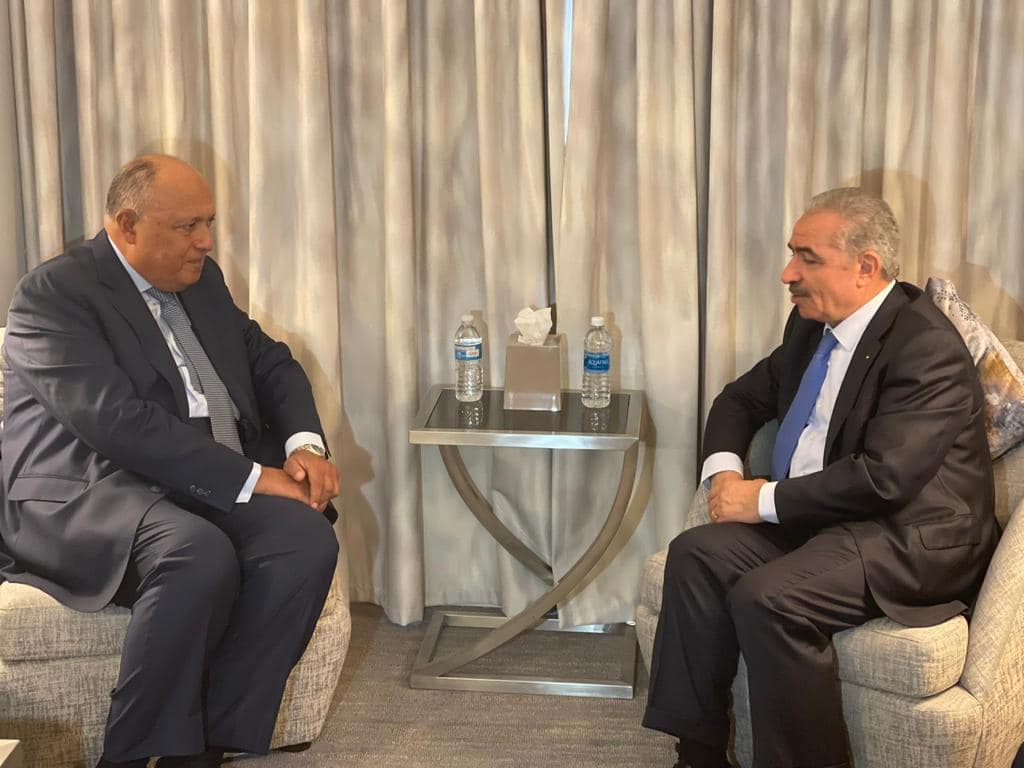 وزير الخارجية يؤكد الموقف المصري الراسخ الداعم للقضية الفلسطينية