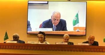 أبوالغيط يدعو الدول الإفريقية لدعم حصول فلسطين على عضوية كاملة بالأمم المتحدة