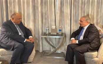   وزير الخارجية يؤكد الموقف المصري الراسخ الداعم للقضية الفلسطينية