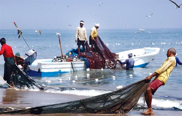 موريتانيا تمنح الجزائر حصصًا سنوية للصيد في مياهها الإقليمية