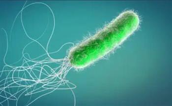   باحثون.. "صراع الميكروبات" مفيد للمضاد الحيوي 