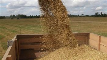   بيلاروسيا تحظر تصدير الحبوب لمدة 6 أشهر 