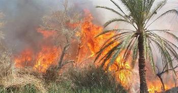   السيطرة على حريق بمزرعة مواشي في الفيوم وإصابة مواطن