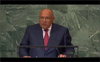   سامح شكري في كلمته بـ "الأمم المتحدة": مصر تسعى إلى عالم مستقر بعيدا عن التوترات