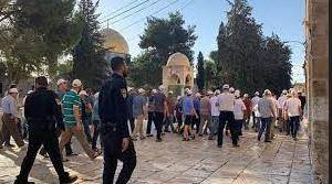   مفتى فلسطين.. يحذر من اعتداءات المستوطنين على المسجد الأقصى