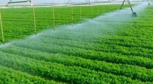 مشروع عملاق ..وزير الزراعة: مستقبل مصر يساهم فى تحقيق الأمن الغذائي
