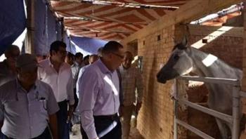  محافظ الشرقية يتفقد الاستعدادات النهائية لإطلاق مهرجان الخيول العربية