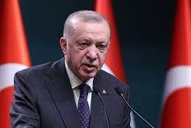 تركيا تستدعى السفير الألمانى بسبب تصريحات «غير لائقة» بحق أردوغان