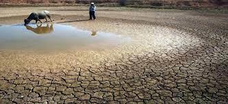   عواقب كارثية.. دراسة تحذر من جفاف شديد يجتاح هذه الدول