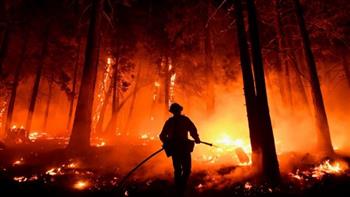   الولايات المتحدة: إعلان حالة الطوارئ بولاية كاليفورنيا بسبب استمرار حرائق الغابات