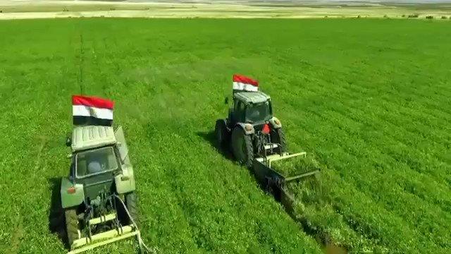 الزراعة تطلق مبادرة التمويل الأخضر لتمكين المرأة وصغار المزارعين.. التفاصيل
