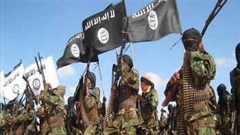   مقتل 17 مدنيا وإصابة آخرين في هجوم إرهابي بالصومال 