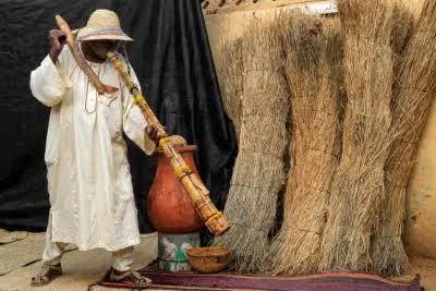 على أنغام موسيقى الوازا.. السودانيون يحصدون الذرة