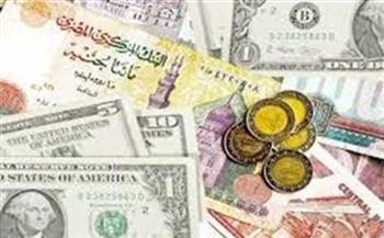 أسعار العملات الأجنبية والعربية اليوم.. فيديو