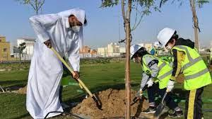   شمال سيناء: زراعة 5000 شجرة ضمن المبادرة الرئاسية