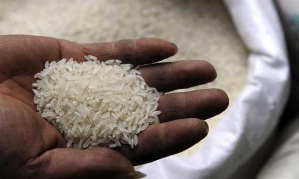 التموين: أسعار الأرز ستخفض إلى 11 جنيها
