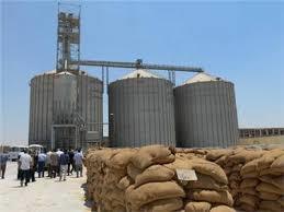   المخزون الاستراتيجي لـ القمح والزيت والسكر في مصر