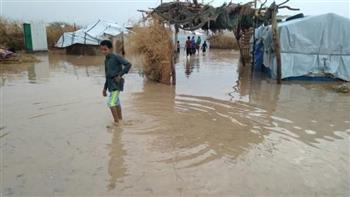   تضرر 19 ألف أسرة نازحة من الأمطار بمحافظة مأرب