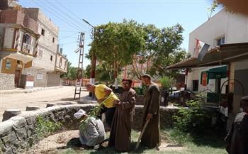 كمرحلة أولى بقنا .. زراعة 935 شجرة بمدينة دشنا ضمن مبادرة الـ«100 مليون شجرة» 