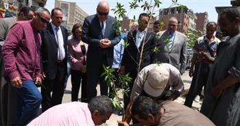   زراعة 1225 شجرة بمركزي أبوتشت وفرشوط بقنا ضمن مبادرة «100 مليون شجرة»