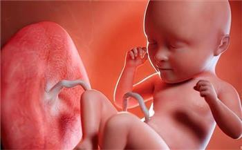١٢٦ ألف متابع لحساب جنين في بطن أمه