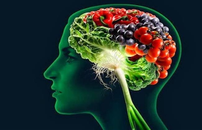 دراسة تكشف أطعمة صحية للوقاية من الزهايمر.. تعرف عليها 