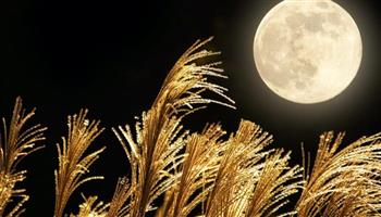   السبت المقبل.. ظهور «قمر الذرة» آخر أقمار فصل الصيف