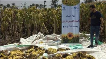   الهيئة الإنجيلية تحقق نجاحًا في نموذج الزراعة التعاقدية بصعيد مصر 