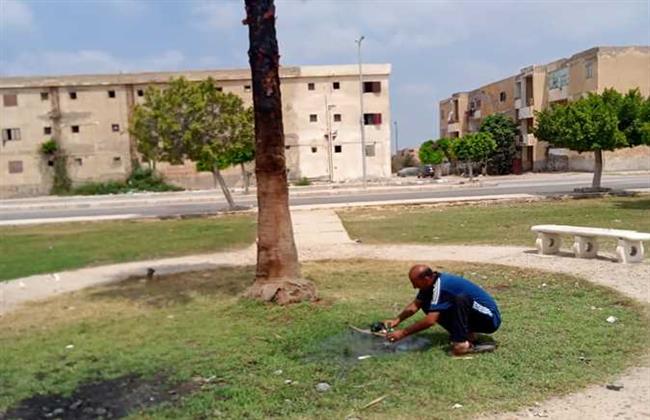  «القنطرة» تواصل أعمال النظافة العامة و الإنارة و التشجير 