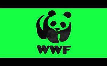   WWF.. يجب أن تكون حماية المحيط على رأس أولوياتنا