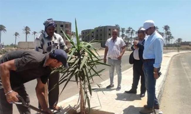 زراعة 1585 شجرة بمركز حوش عيسى في البحيرة