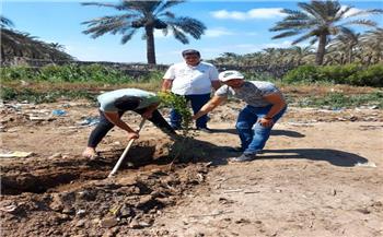   زراعة 490 شجرة متنوعة بالدلنجات للمبادرة الرئاسية