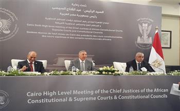   رئيس المحكمة الدستورية: الدولة المصرية قدمت الكثير منذ 30 يونيو وحتى الآن