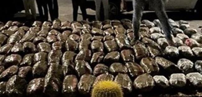 الداخلية تنجح فى إحباط محاولة عنصرين إجراميين تهريب 1,250 طن من مخدر البانجو بالسويس