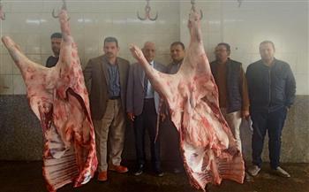 ضبط 260 كجم لحوم ذُبحت خارج المجازر الحكومية بدمنهور لحملات لضبط الأسواق وردع المخالفين