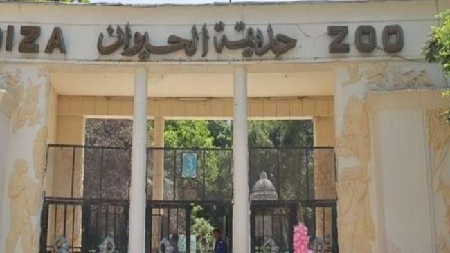 لو هتتباع قولوا.. رسالة قوية من عزة مصطفى للمسؤولين حول غلق حديقة الحيوان