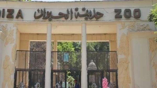 لو هتتباع قولوا.. رسالة قوية من عزة مصطفى للمسؤولين حول غلق حديقة الحيوان