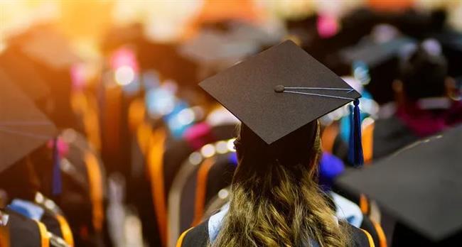 قرار جديد من التضامن بشأن الدفعة «100» من خريجي الجامعات