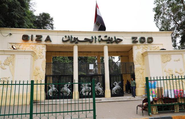 ماذا يجري في حديقة الحيوان.. وزير الزراعة يكشف الحقيقة الكاملة 