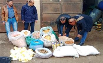 تحرير محاضر لمخالفات بيئية وصحية في حملة تفتيشية بـ «بني سويف»