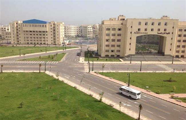 جامعة كفرالشيخ تستعرض جهود الاعتماد المؤسسي والمشاركة في المبادرات الرئاسية