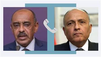   وزير الخارجية ونظيره السوداني يبحثان دفع المشروعات المشتركة