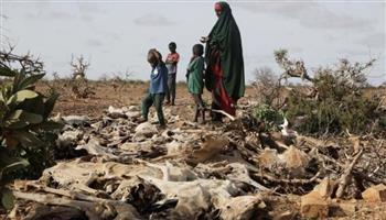   الإرهاب و5 سنوات من الجفاف.. الصومال تمر بأسوأ كارثة في تاريخها